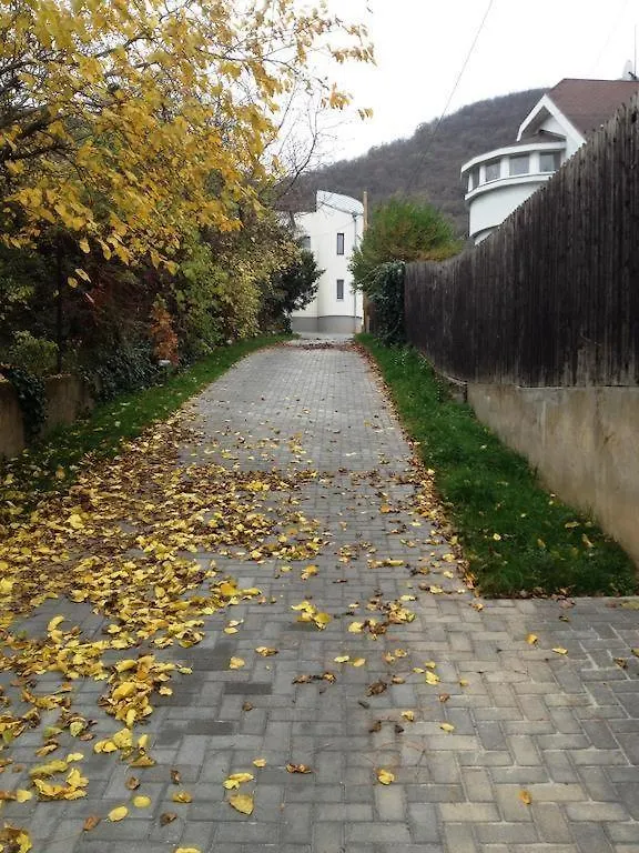 Maharaja Buda Villa Apartment - Private Parking And Garden Budapest Hungary